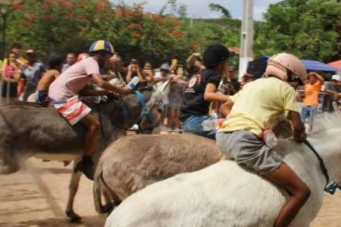 Corrida de jegue é barrada pela justiça em Mari