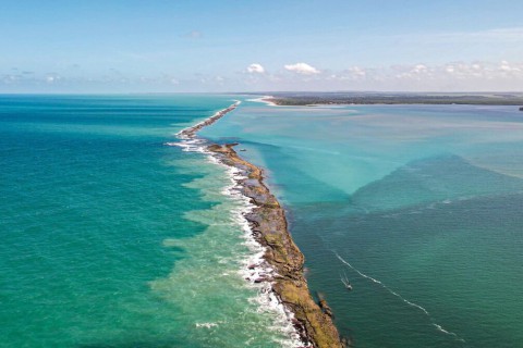 Branqueamento de corais é registrado na Área de Preservação Ambiental da Barra do Mamanguape