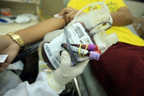 Dia Mundial do Doador de Sangue reacende debate sobre PEC do Plasma