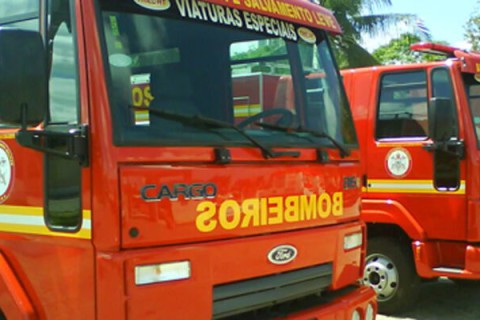 Cobra se esconde dentro de sofá e assusta família durante madrugada; bombeiros resgatam animal