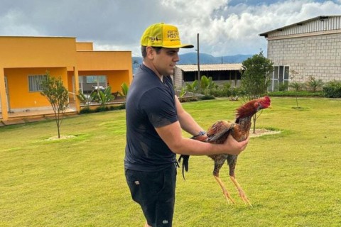 Blogueiro suspeito de ameaçar Deputada e organizar rinhas de galo é preso em Cabedelo