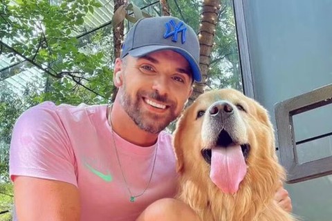 Após morte de cachorro, Câmara aprova projeto que obriga aéreas a rastrear transporte de pets
