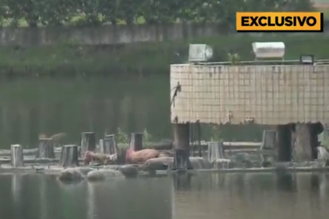 Furto em quiosque termina com suspeito pulando na Lagoa do Parque Sólon de Lucena